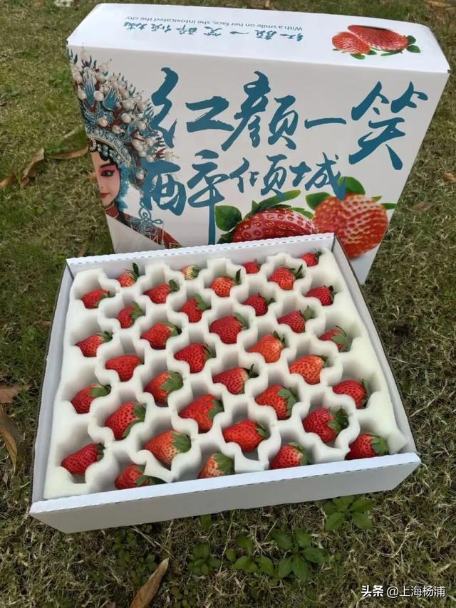 来复兴岛当一天快乐“岛民”