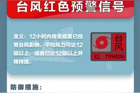 红色！刚刚，台风最高级别预警生效！“桦加沙”最新路径来了，将登陆……图片