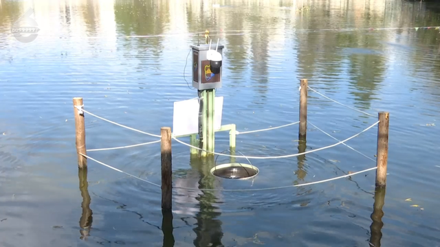 10人路过，9人停下猜！翠湖里的这些桶在干嘛？