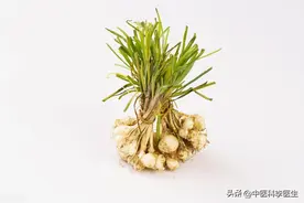 似蒜非蒜，似葱非葱，似韭非韭，讲一个高级中药材——薤白图片
