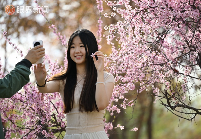 被乌鲁木齐的春天治愈了，花开满城→