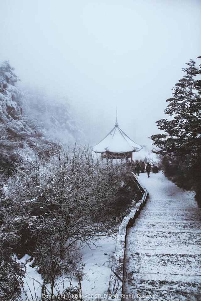 银色世界，雪中禅意：峨眉山的冬天美成了佛国仙境