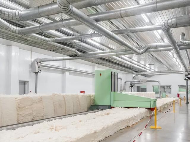 农民又立大功！德州62岁农民种出4.26米高的，1棵结136个