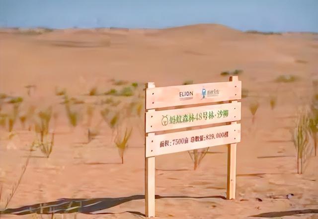马云现身蚂蚁森林，大口吃西瓜，现场杂草丛生，跟2016年对比明显