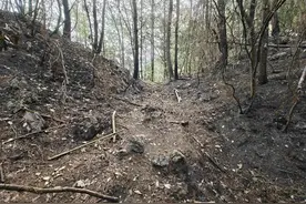 大妈为捡塑料瓶故意放火烧山，目前已被依法刑事拘留图片