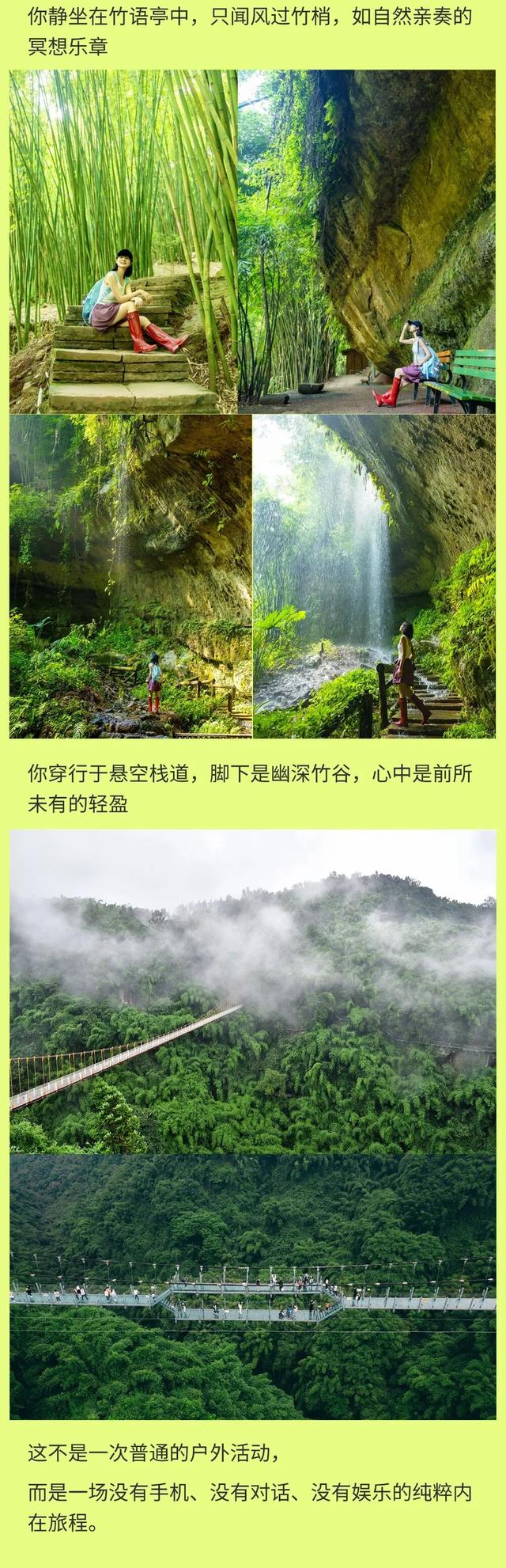 10000元奖金 | 逃离数字囚笼，在川西竹海开启30小时心灵回归计划 ！