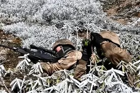 中控克什米尔图片