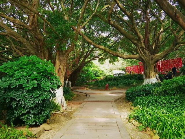 “若得一日闲 山中品千年” 游泉州清源山