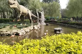 北京野生动物园真实体验图片