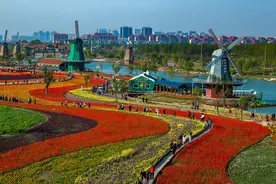 “春日滨州 美不胜收”踏青赏花季文旅活动系列报道（一）图片