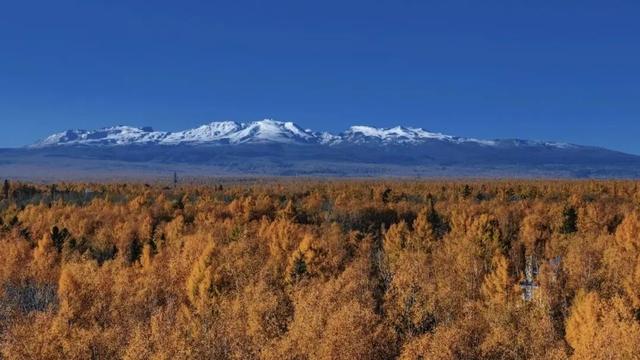 长白山国庆“爆单”啦！秋色与人海共舞，绘就流量画卷