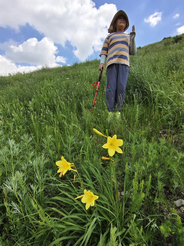 去北极村第四站——东乌。走99号公路我们去爬瞭望山。