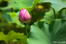 邪淫的危害图片