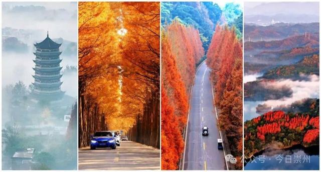 免费又出片！崇州初冬宝藏秘境，美到封神！