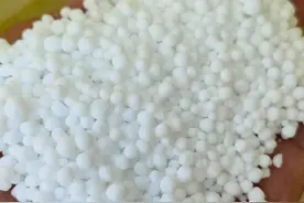 尿素施入土壤后，几天能见效，持效期多少天图片