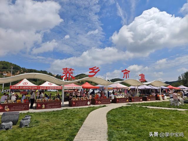 陇县河北镇：荞麦花海映初心 万亩花海促振兴