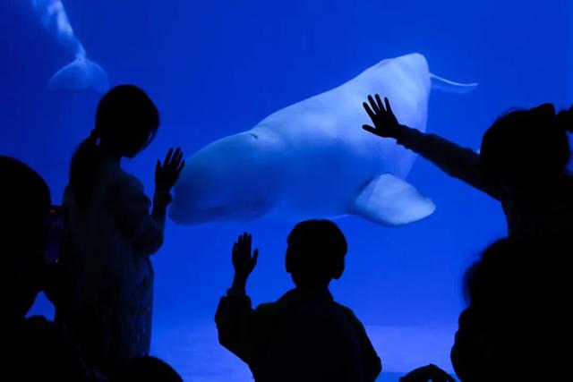 春假免费游双园了！还能送年卡！