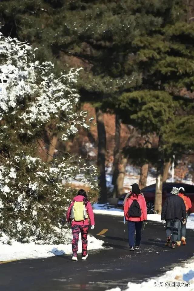 淄博冰雪宝典,请请收好