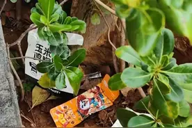 疑似明星粉丝在南京一餐厅门口留下垃圾 店主：垃圾桶就在几十米外，希望注意素质图片