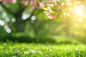 王慧兰：因为会想起你图片