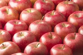 3种水果已被列入“致癌名单”，吃多了致癌，可信吗？告诉你真相图片