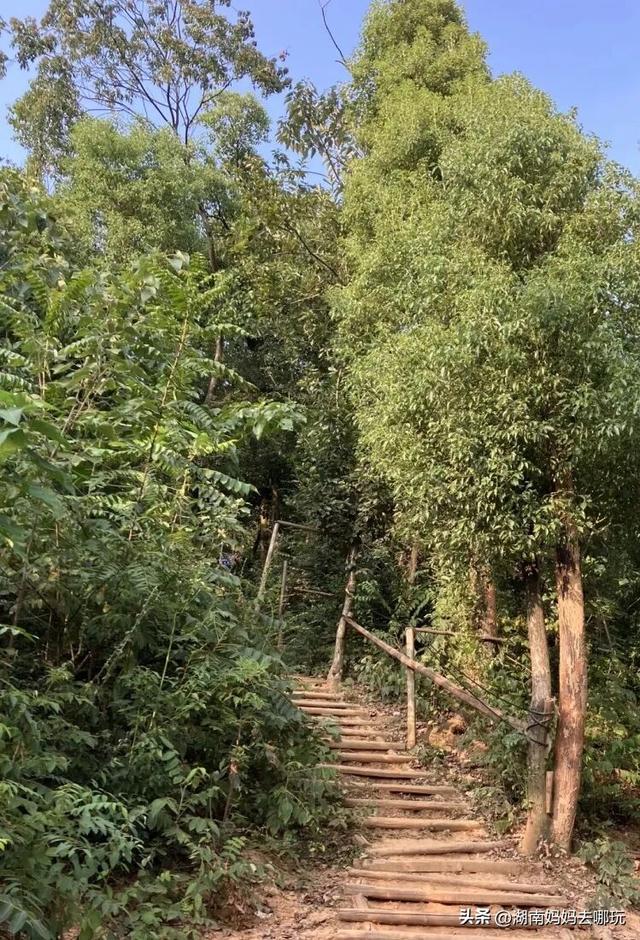 30分钟登顶！长沙私藏小众徒步路线，一站解锁遛娃顶“尖”玩法