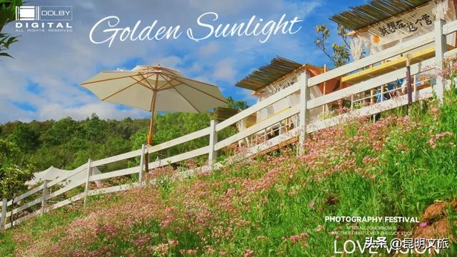 活动上新！昆明这里承包你十二月的所有周末→