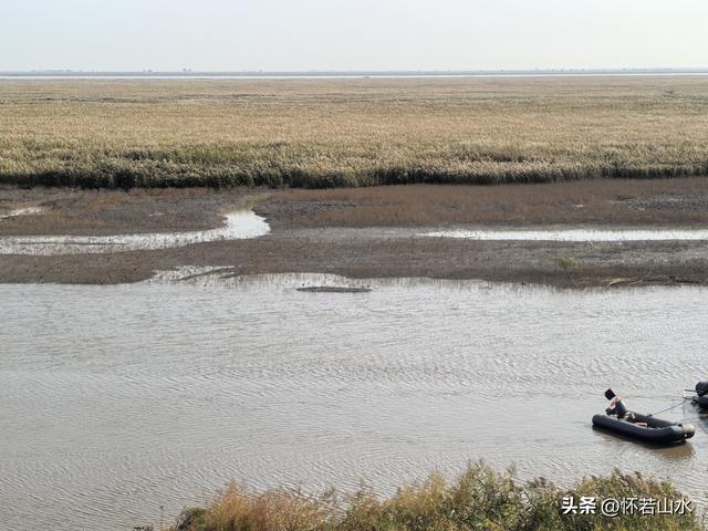 2025辽宁赏秋之旅日记(6)——到辽河口中国最北海岸线看日出 观鸟