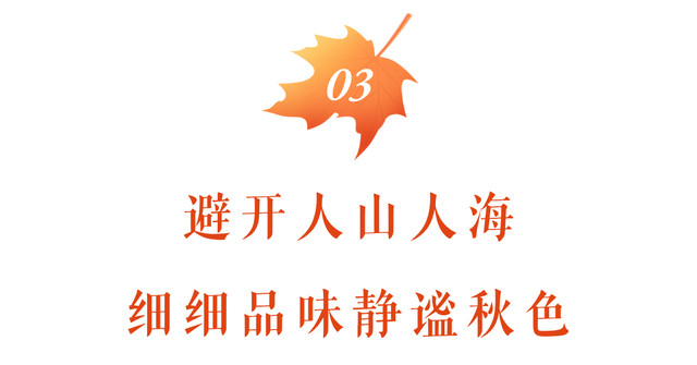 松坪沟的秋天，把油画里的颜色都搬来了吧