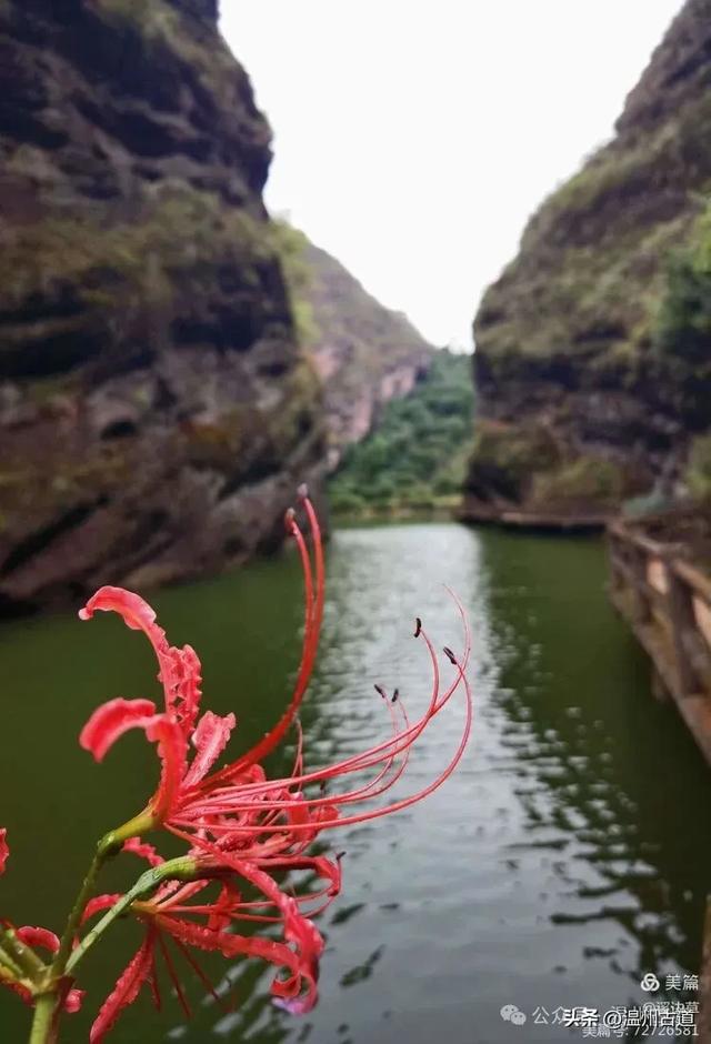 浙江这条风光奇绝适合新手小白的徒步线路,值得推荐!