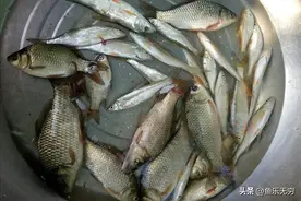 野钓大神分享：一招解决，告别杂鱼闹窝有效策略！图片