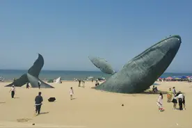 烟台方言粗话脏话知多少？图片