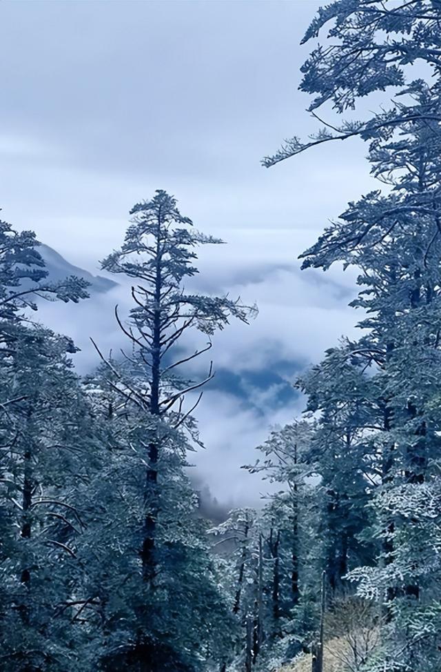 成都，又！下！雪！了！未来最低5℃→