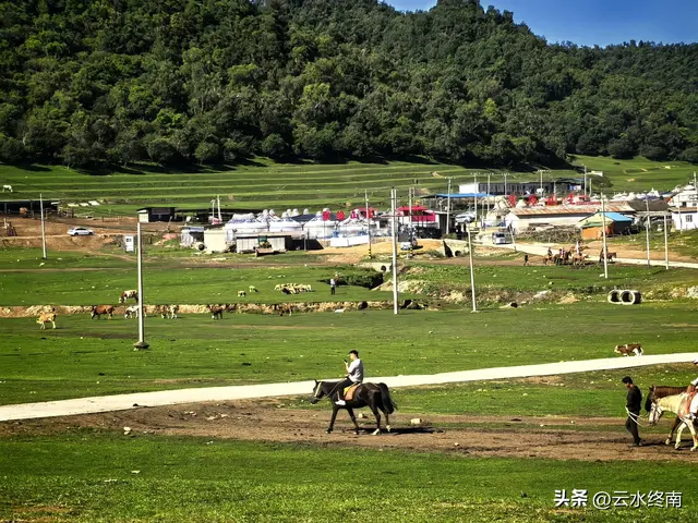 关山牧场会“瑟瑟发抖”？我看多虑了，即使旁边有大片免费的草原