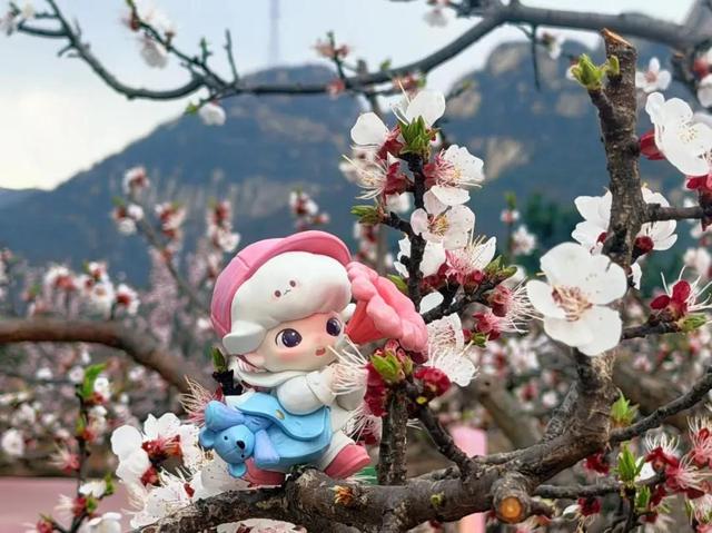 上春山！海淀这座山又到了最美的时候