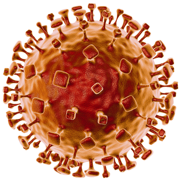 “尼帕病毒	”来势汹汹	，建议：每家备好5样东西，关键时刻能保命