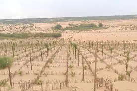 中美印土地沙化面积对比：印度3亿亩，美国16亿亩，中国是多少？图片