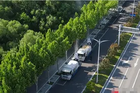 “毛毛”漫天飞 宿迁积极开展杨絮治理工作图片