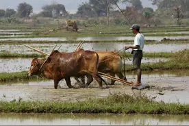 缅甸：国家概况、要点百科图片