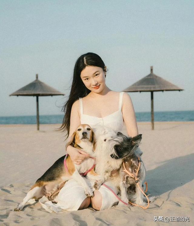 霍思燕穿旗袍携爱犬夺冠前凸后翘丰乳肥臀 难怪杜江对她生理性喜欢