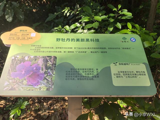 白云山首条森林康养径