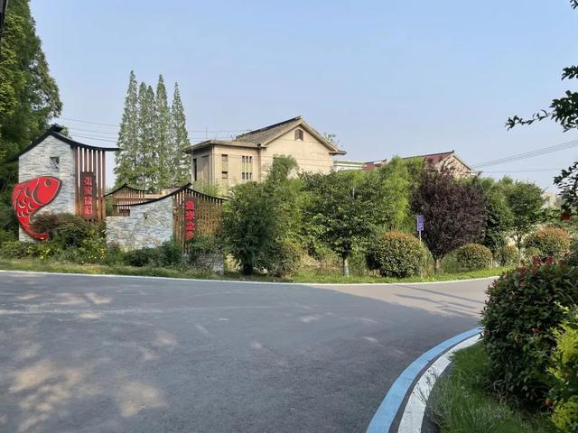 现场实拍界牌镇张家埭村，村景好美