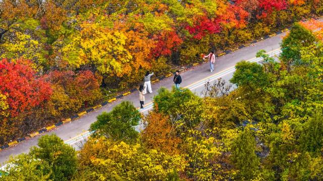 枣庄牛郎山，你怎么美成这样！！