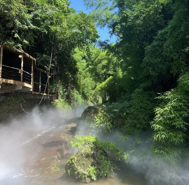 在竹尖上飞行！全网最全尖叫玩法攻略！