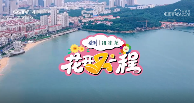 央视主持人来打卡！这里究竟有多好玩？