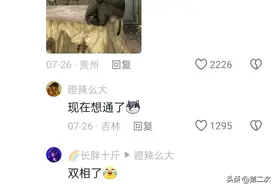 赢麻了！贵阳黔灵山猴子从忧郁到阳光，凭一猴之力拉动贵阳文旅图片