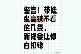 警告！带娃坐高铁不看这几条，新规会让你白扔钱(附我的踩坑实录)图片