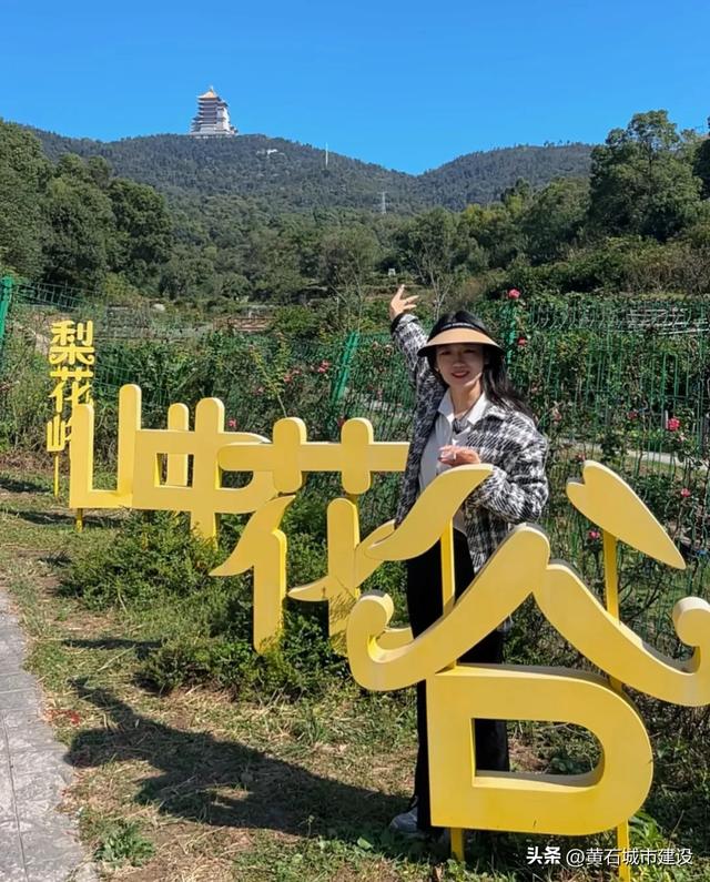 秋日遛娃天花板!黄石这里的百日菊花海美翻了