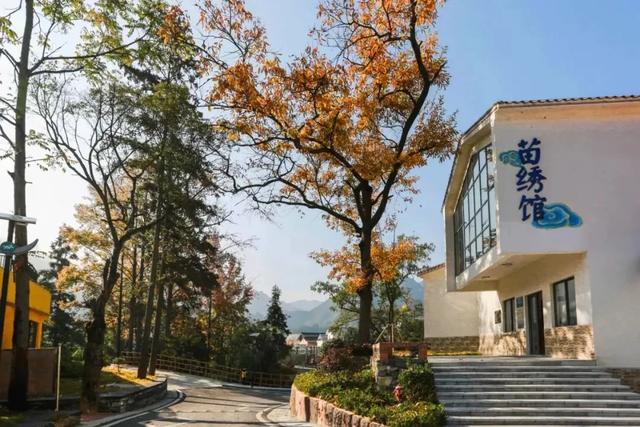 乡游黔中 · 剑河县 太拥镇丨秋染八万山,林海叠彩入画来