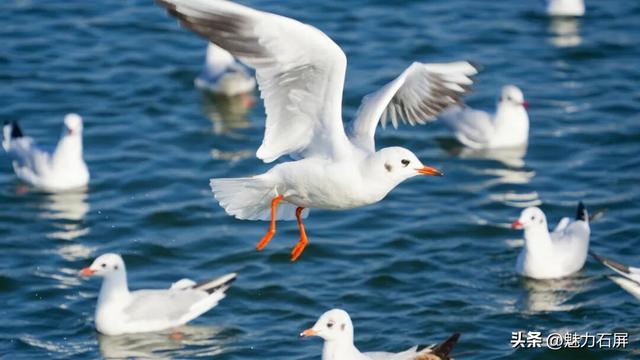 跨越山海的生态之约 奏响人与自然和谐乐章